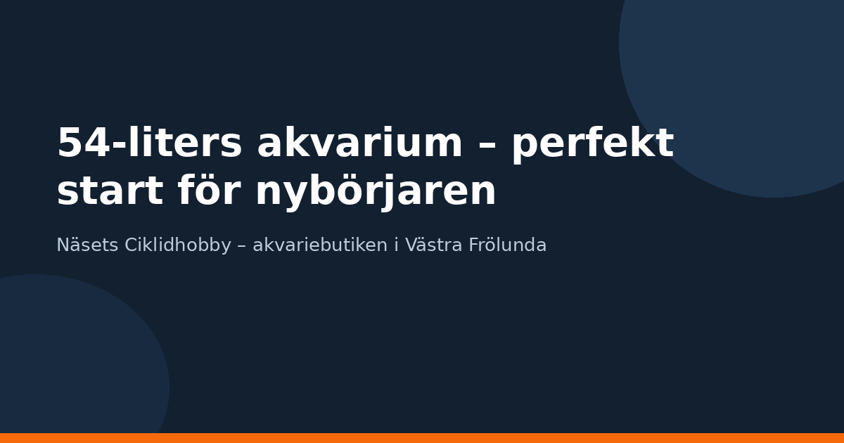 54-liters akvarium – perfekt start för nybörjaren