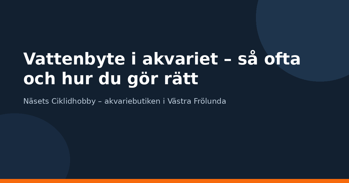 Vattenbyte i akvariet – så ofta och hur du gör rätt